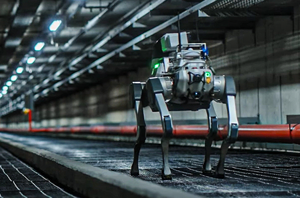 X20 quadruped robot dog